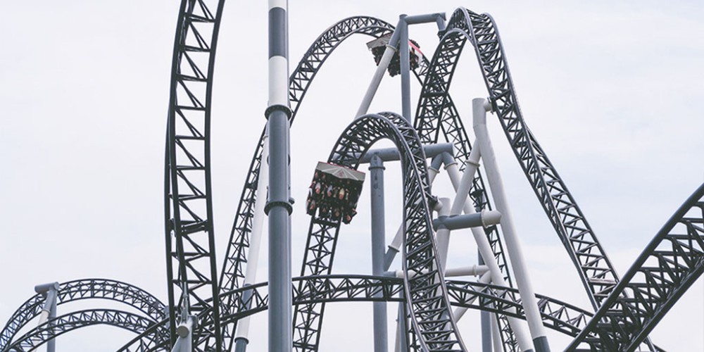 Riding the Career Roller Coaster with Resilience and Fortitude
